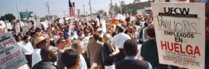 Panoramic photograph of an outdoor rally, shot from behind. On the right hand side of the image, a picket sign can be seen in the foreground reading "UFCW - Pavilions Empleados en Huelga" (Pavilions Workers on Strike)
