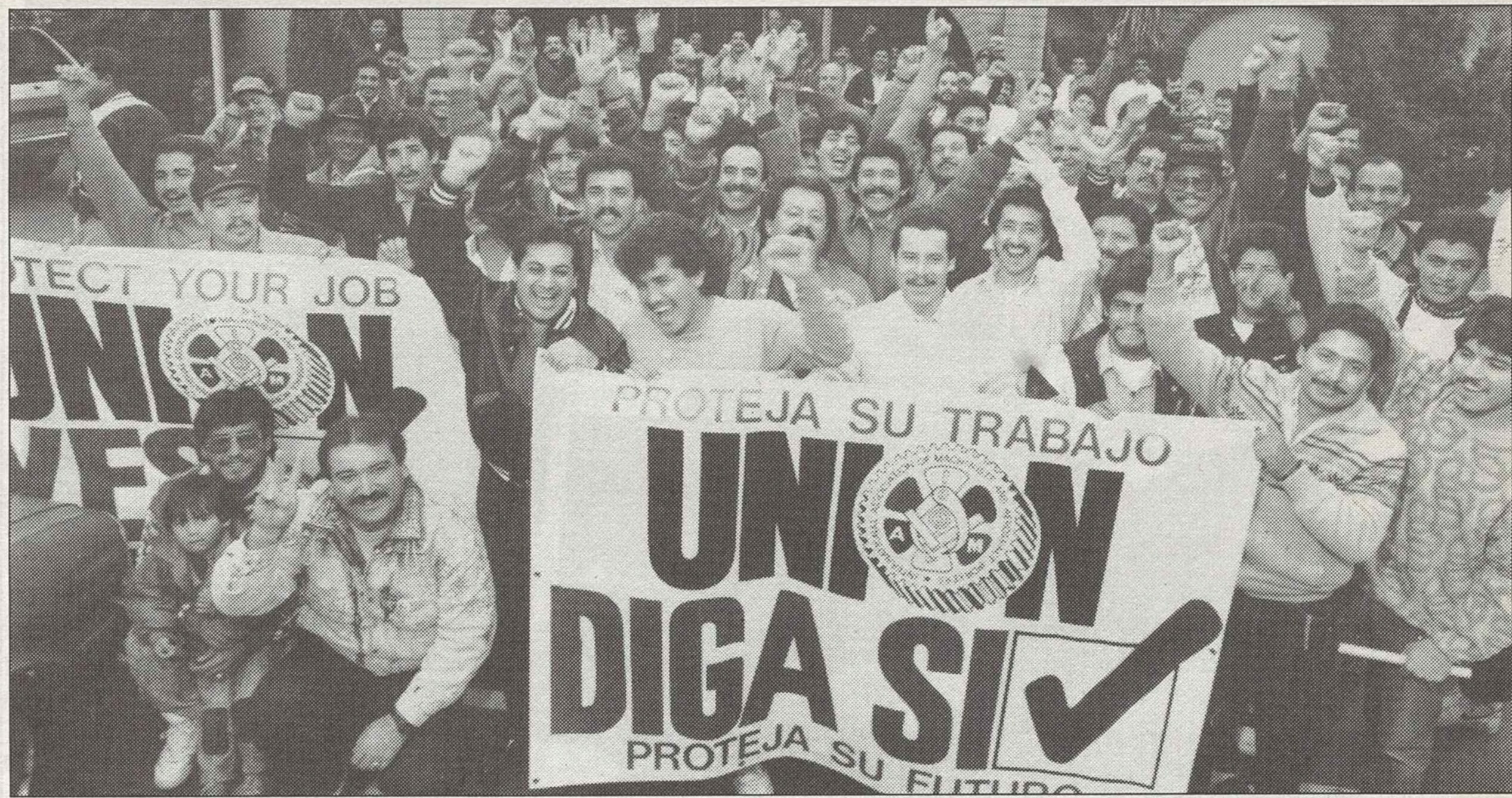 A group of men raise their fists in celebration. The hold a sign in Spanish reading, "Union, Yes!"